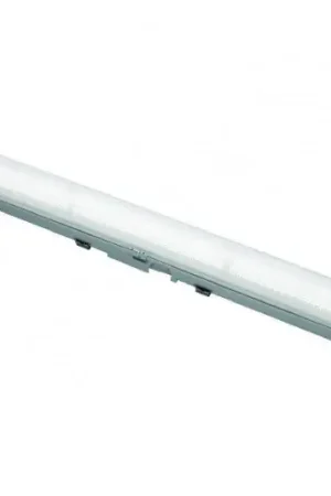 Favoriet Normalux Ecolight Hermetic XL noodverlichtingsarmatuur Vluchtwegverlichting Plafondopbouw wit IP65 DE2L-E