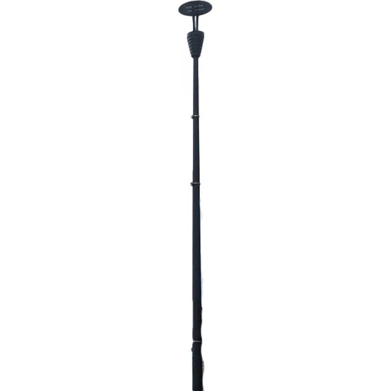Disano 1480 lichtmast vtpl fles/kegel staal antraciet 42508800 Hoge Kwaliteit