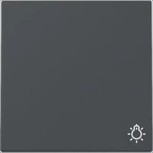 GIRA 328528 WIP SYM LICHT S55 ANTR Nu Kopen